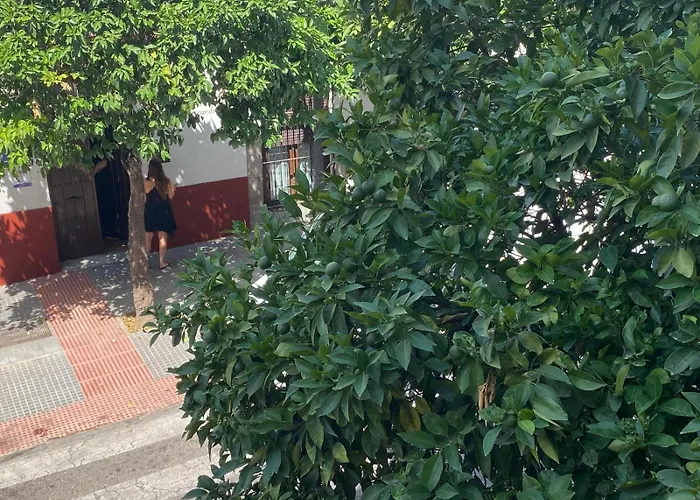 La Escalerita * Córdova