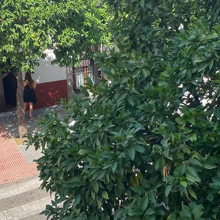 La Escalerita * Kordoba